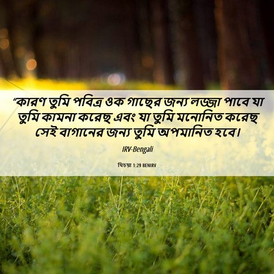 Picture 06 - যিচয়া 1:29 BENIRV - “কারণ তুমি পবিত্র - Bible Verse Picture