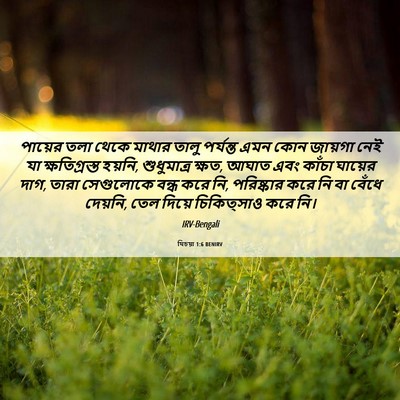 Picture 06 - যিচয়া 1:6 BENIRV - পায়ের তলা থেকে - Bible Verse Picture