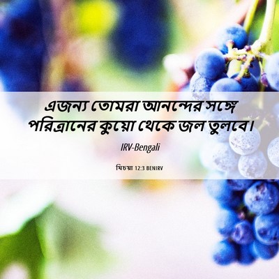 Picture 06 - যিচয়া 12:3 BENIRV - এজন্য তোমরা - Bible Verse Picture