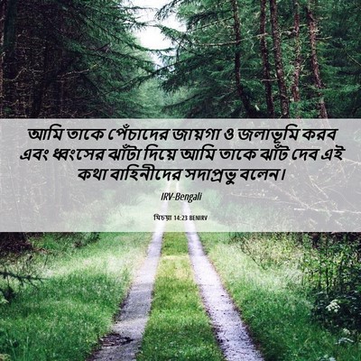 Picture 06 - যিচয়া 14:23 BENIRV - আমি তাকে পেঁচাদের - Bible Verse Picture