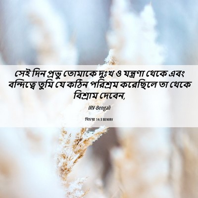 Picture 06 - যিচয়া 14:3 BENIRV - সেই দিন প্রভু - Bible Verse Picture