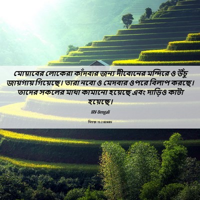 Picture 06 - যিচয়া 15:2 BENIRV - মোয়াবের লোকেরা - Bible Verse Picture