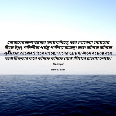 Picture 06 - যিচয়া 15:5 BENIRV - মোয়াবের জন্য - Bible Verse Picture