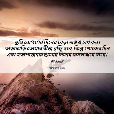 Picture 06 - যিচয়া 17:11 BENIRV - তুমি রোপণের দিনের - Bible Verse Picture