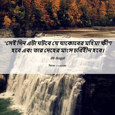 Picture 06 - যিচয়া 17:4 BENIRV - “সেই দিন এটা ঘটবে - Bible Verse Picture