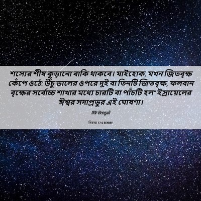 Picture 06 - যিচয়া 17:6 BENIRV - শস্যের শীষ - Bible Verse Picture