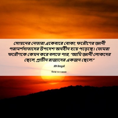 Picture 06 - যিচয়া 19:11 BENIRV - সোয়নের নেতারা - Bible Verse Picture