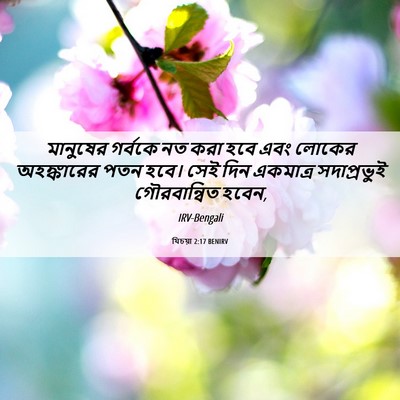 Picture 06 - যিচয়া 2:17 BENIRV - মানুষের গর্বকে নত - Bible Verse Picture