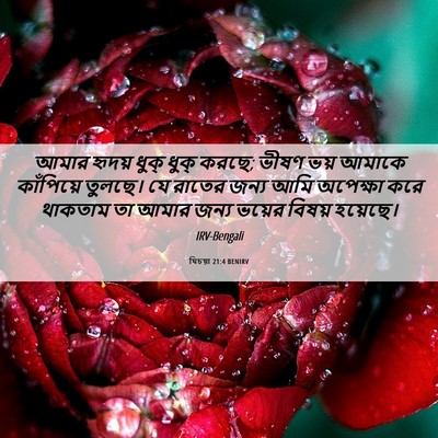 Picture 06 - যিচয়া 21:4 BENIRV - আমার হৃদয় ধুক্ - Bible Verse Picture