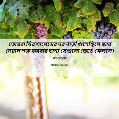 Picture 06 - যিচয়া 22:10 BENIRV - তোমরা যিরূশালেমের - Bible Verse Picture