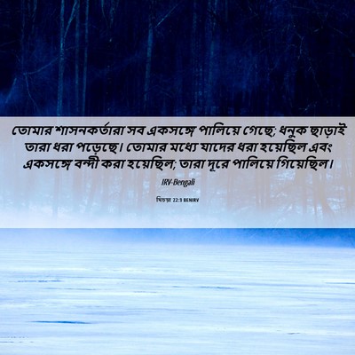 Picture 06 - যিচয়া 22:3 BENIRV - তোমার শাসনকর্তারা - Bible Verse Picture