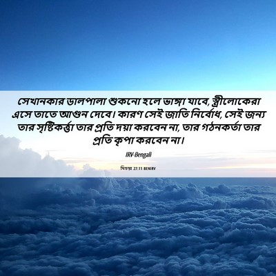 Picture 06 - যিচয়া 27:11 BENIRV - সেখানকার ডালপালা - Bible Verse Picture