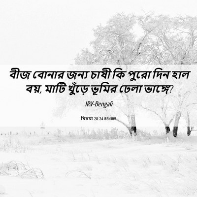Picture 06 - যিচয়া 28:24 BENIRV - বীজ বোনার জন্য - Bible Verse Picture