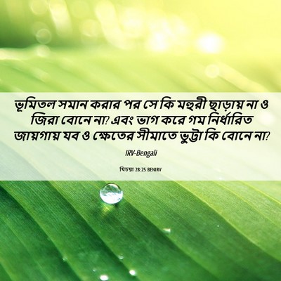 Picture 06 - যিচয়া 28:25 BENIRV - ভূমিতল সমান করার - Bible Verse Picture