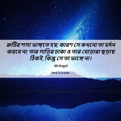 Picture 06 - যিচয়া 28:28 BENIRV - রুটির শস্য - Bible Verse Picture