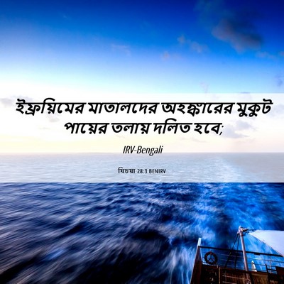 Picture 06 - যিচয়া 28:3 BENIRV - ইফ্রয়িমের - Bible Verse Picture