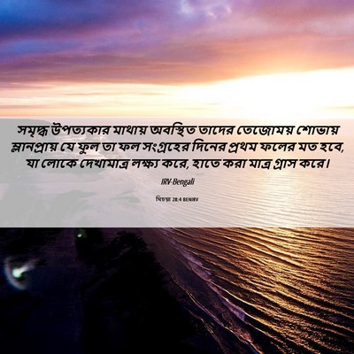 Picture 06 - যিচয়া 28:4 BENIRV - সমৃদ্ধ উপত্যকার - Bible Verse Picture