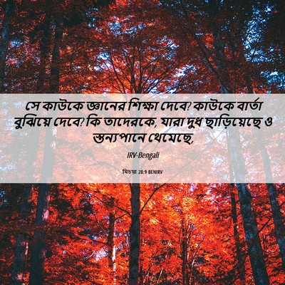 Picture 06 - যিচয়া 28:9 BENIRV - সে কাউকে জ্ঞানের - Bible Verse Picture
