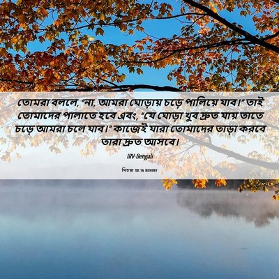 Picture 06 - যিচয়া 30:16 BENIRV - তোমরা বললে, “না, - Bible Verse Picture