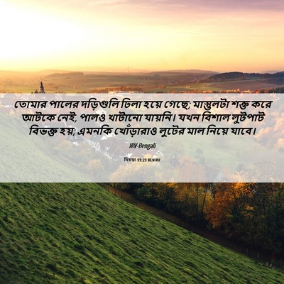 Picture 06 - যিচয়া 33:23 BENIRV - তোমার পালের - Bible Verse Picture