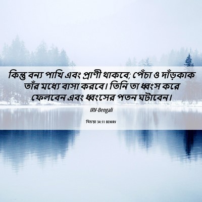 Picture 06 - যিচয়া 34:11 BENIRV - কিন্তু বন্য পাখি - Bible Verse Picture