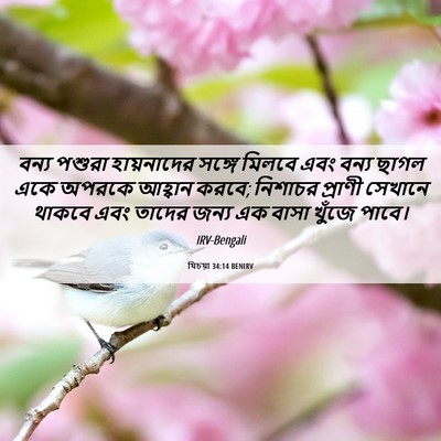 Picture 06 - যিচয়া 34:14 BENIRV - বন্য পশুরা - Bible Verse Picture