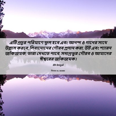 Picture 06 - যিচয়া 35:2 BENIRV - এটি প্রচুর - Bible Verse Picture