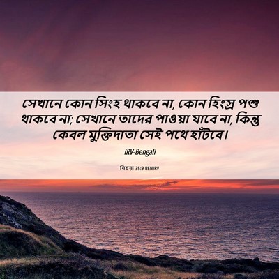 Picture 06 - যিচয়া 35:9 BENIRV - সেখানে কোন সিংহ - Bible Verse Picture