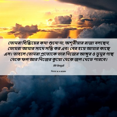 Picture 06 - যিচয়া 36:16 BENIRV - তোমরা হিষ্কিয়ের - Bible Verse Picture
