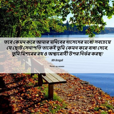 Picture 06 - যিচয়া 36:9 BENIRV - তবে কেমন করে আমার - Bible Verse Picture