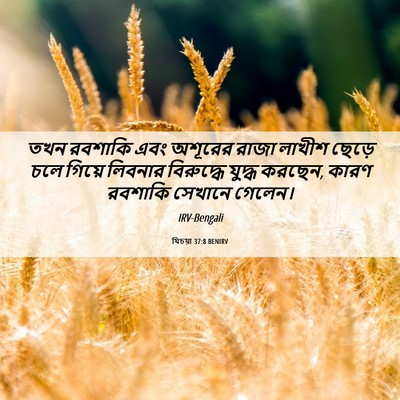 Picture 06 - যিচয়া 37:8 BENIRV - তখন রবশাকি এবং - Bible Verse Picture