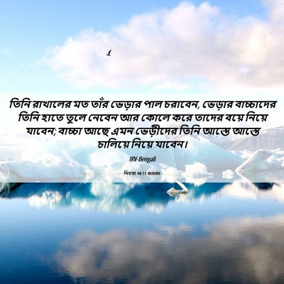 Picture 06 - যিচয়া 40:11 BENIRV - তিনি রাখালের মত - Bible Verse Picture