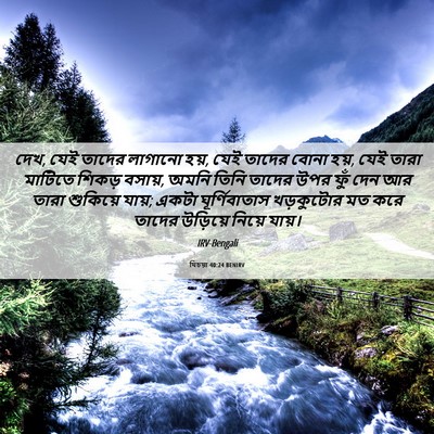 Picture 06 - যিচয়া 40:24 BENIRV - দেখ, যেই তাদের - Bible Verse Picture