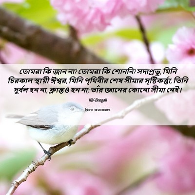 Picture 06 - যিচয়া 40:28 BENIRV - তোমরা কি জান না? - Bible Verse Picture