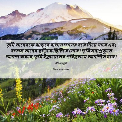 Picture 06 - যিচয়া 41:16 BENIRV - তুমি তাদেরকে - Bible Verse Picture