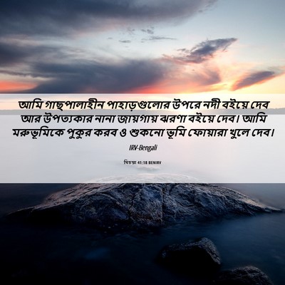 Picture 06 - যিচয়া 41:18 BENIRV - আমি গাছপালাহীন - Bible Verse Picture