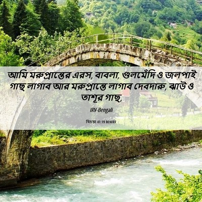 Picture 06 - যিচয়া 41:19 BENIRV - আমি মরুপ্রান্তের - Bible Verse Picture