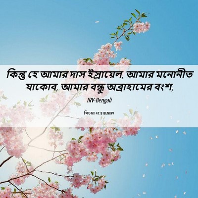 Picture 06 - যিচয়া 41:8 BENIRV - কিন্তু হে আমার দাস - Bible Verse Picture