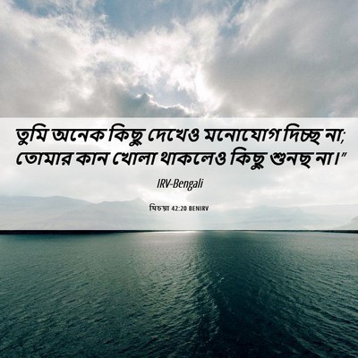 Picture 06 - যিচয়া 42:20 BENIRV - তুমি অনেক কিছু - Bible Verse Picture
