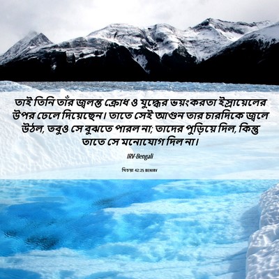 Picture 06 - যিচয়া 42:25 BENIRV - তাই তিনি তাঁর - Bible Verse Picture