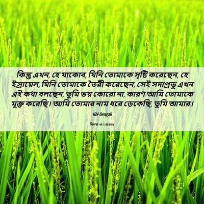 Picture 06 - যিচয়া 43:1 BENIRV - কিন্তু এখন, হে - Bible Verse Picture