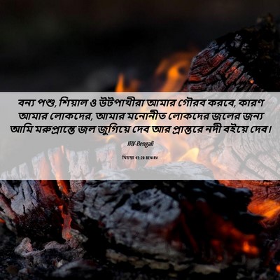 Picture 06 - যিচয়া 43:20 BENIRV - বন্য পশু, শিয়াল ও - Bible Verse Picture