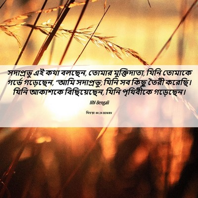 Picture 06 - যিচয়া 44:24 BENIRV - সদাপ্রভু এই কথা - Bible Verse Picture