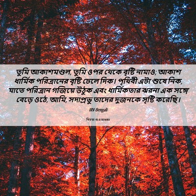 Picture 06 - যিচয়া 45:8 BENIRV - তুমি আকাশমণ্ডল, - Bible Verse Picture