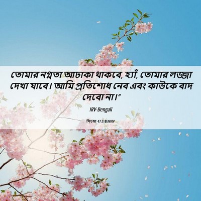 Picture 06 - যিচয়া 47:3 BENIRV - তোমার নগ্নতা - Bible Verse Picture