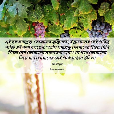 Picture 06 - যিচয়া 48:17 BENIRV - এই হল সদাপ্রভু, - Bible Verse Picture