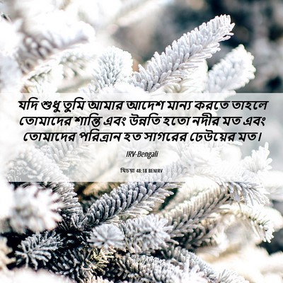 Picture 06 - যিচয়া 48:18 BENIRV - যদি শুধু তুমি আমার - Bible Verse Picture