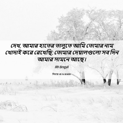 Picture 06 - যিচয়া 49:16 BENIRV - দেখ, আমার হাতের - Bible Verse Picture
