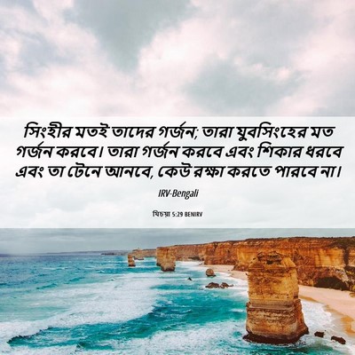 Picture 06 - যিচয়া 5:29 BENIRV - সিংহীর মতই তাদের - Bible Verse Picture