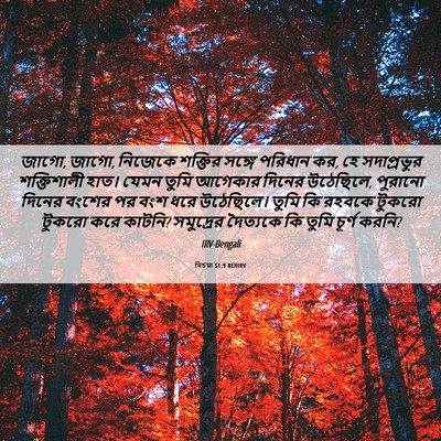 Picture 06 - যিচয়া 51:9 BENIRV - জাগো, জাগো, নিজেকে - Bible Verse Picture